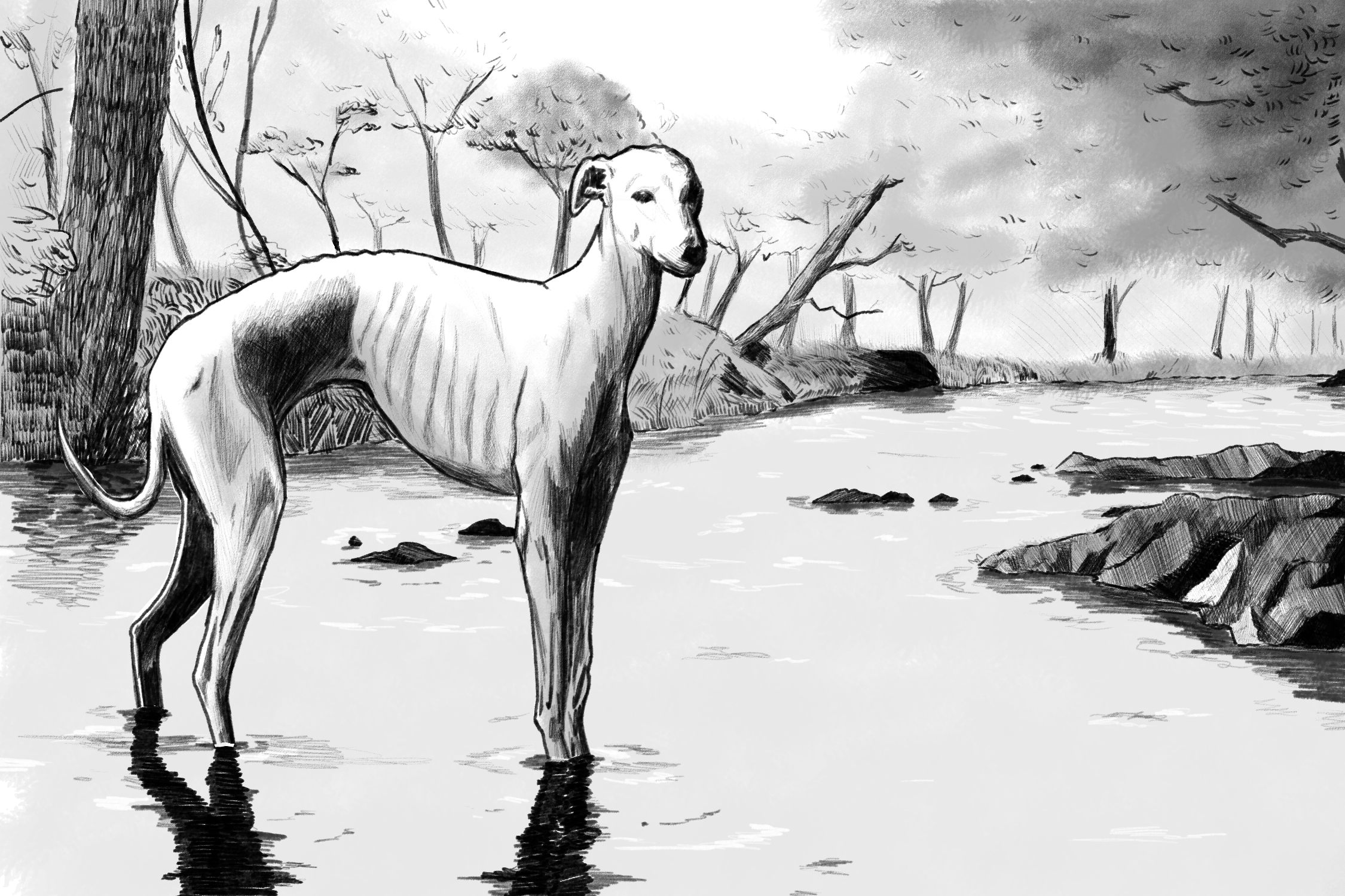 La oscuridad en los márgenes